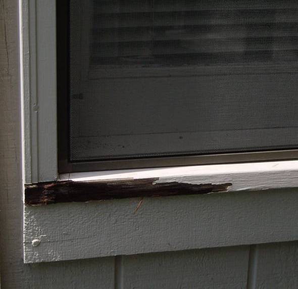 rot in corner 1 high quality and energy efficient window and doors